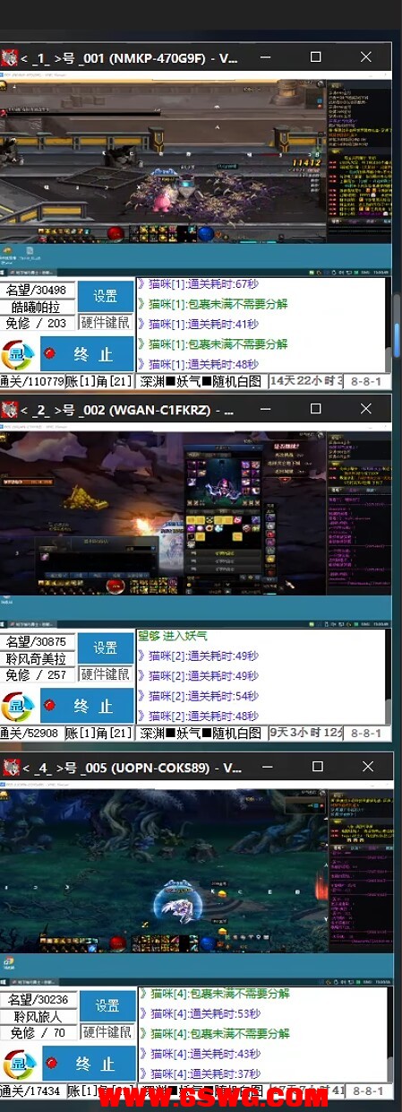 老猫.jpg